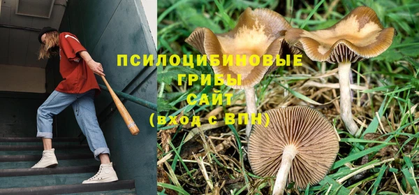 дмт Алзамай