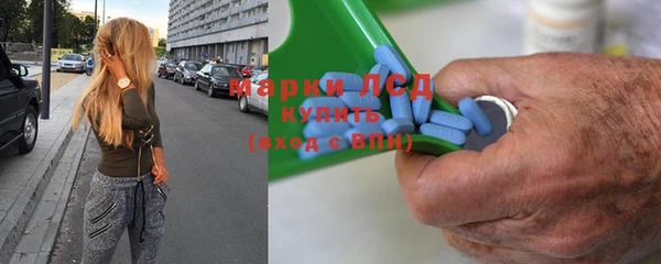 дмт Алзамай
