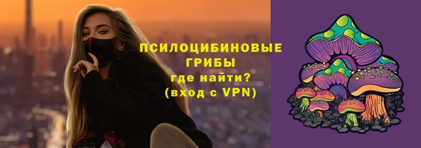 спиды Алексеевка