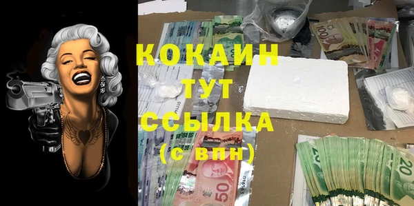 ГАЛЛЮЦИНОГЕННЫЕ ГРИБЫ Алексин