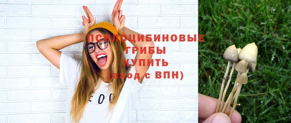 дмт Алзамай